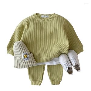 Комплекты одежды детские осенние мальчики девочки для девочек с длинными рукавами для детских топов и брюк костюмы детские свитера без обуви шляп