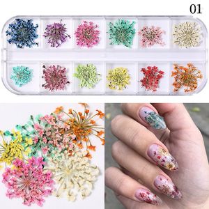 Nail Art Decorations Style Drooged Flowers Natural Floral Sunflower Daisy Stickers D Designs Poolse manicure accessoires
