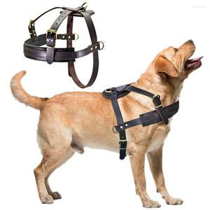 犬の襟本物のレザーハーネス茶色のソフトウォーキングトレーニングハーネス調整可能な胸部中の大きな犬ピットブルアラスカン