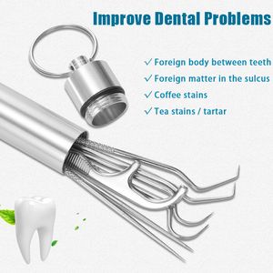 Stainless Steel Toothpick Set Tooth Flossing Reusable Toothpicks Portable Toothpick Floss Teeth Cleaner Oral Cleaning DHL