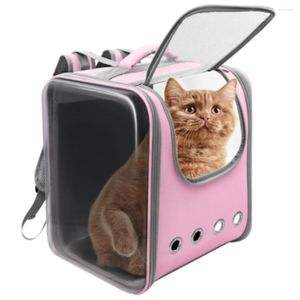 Cat Carriers TUOBANGDER Pet Bag Backpack Travel Breathable Outing Portable Packaging Transparency Skylight Cage For Carrier Dog