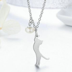 Łańcuchy Korea uroczy kota zwierząt wisiorek pereł łańcuch gołębi srebrny naszyjnik dla kobiet modny luksusowy prezent biżuterii