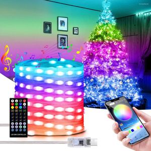 Strings WS2812B Bluetooth RGB LED Light String USB 5V RGBIC Dream Color Chasing Effect Tape Lamp Remote For Christmas Holiday Decoration