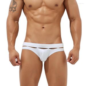 Herren-Shorts, HaleyChan 2022, Herren-Badehose, Slips, sexy, hohl, Herren-Badeanzug, Herren