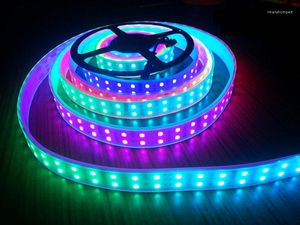 Strips 5m DC12V120Led/M RGB LED Flexible Tape SMD Dream Color TM1812 IC Double Row IP67 Tube Waterproof IP30 Ribbon Light