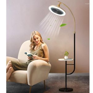 Floor Lamps Creative Living Room Bedroom Bedside Lamp Fan Light Study Eye Protection Led Standing Lights Home Deco