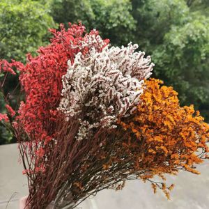 Faux Floral Greenery 2 Bouquet 25gBouquet Natural Preserved Crystal grass DriedFlower for Wedding Party Home Decoration accessories Display flowers 221010