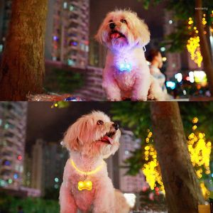 Dog Apparel Pet Safety Flashing Collar LED Light Tag Pendant Pets Products SNO88