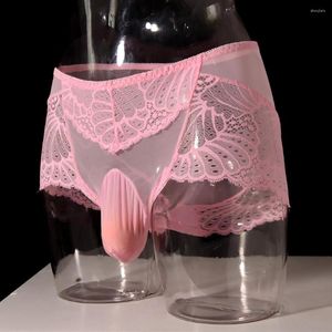 Underpants Men's Sexy Low Rise Lace Breathable Briefs See Through Underwear Pouch Panties Men Transparent Personal Bikini