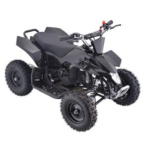 Kids' 49CC Gas-Powered ATV, 2-Stroke Engine, Stepless Speed, Four-Wheel Off-Road Vehicle for Beach and Sports