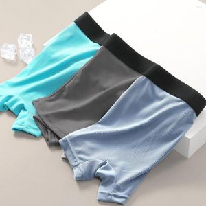 Underbyxor Ice Silk Men Boxer Shorts Men's Panties Boxershorts Underwear For Man Par Sexig Stretchy Close Fit