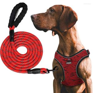 Collari per cani Imbracatura e guinzaglio Gilet Forte riflettente Traspirante Regolabile Sicurezza Veicolo Guinzaglio Forniture per cani di taglia piccola e media