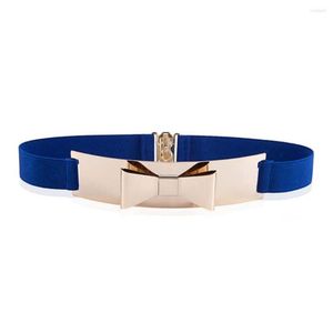 Cintos Mulheres Mulheres Elegantes Elegantes Ciolas de Decoração da Garota Elastic Strap Lady Cinch Belt Cummerbund