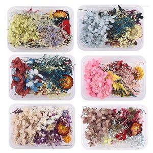 Dekorativa blommor 1 Box Real Mix Dried Flower Dry Plants For Candle Epoxy Harts Pendant Necklace Jewelry Making Craft DIY