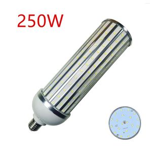 80W 60W 50W 40W 30W 25W LED Bulb Aluminum Shell Lamp 220V E26 E27 E39 E40 Corn Light Street Cool Warm White