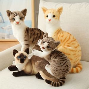 Plush Dolls محشوة LifeLike Siamese Cats Toy Simulation American Shorthair Cute Cat Doll Toys Home Decor Decor Home For Girls 221012