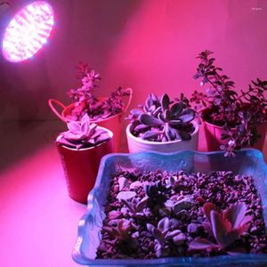 Coltiva le luci 2pc/lot LED Spettro completo 28SMD Rosso Blu Bianco LED Tazza lampada per piante da fiore