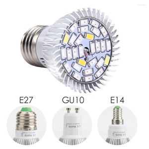 성장 LED LED 플랜트 램프 E27 GU10 GU10 스펙트럼 전체 스펙트럼 E14 전구 꽃 온실 수경 시스템 110V 220V Box