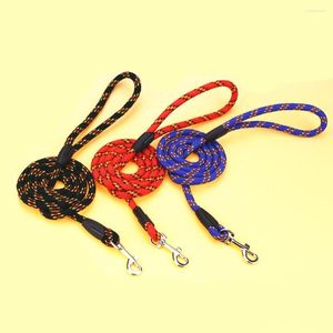 Colarinhos de cachorro 1pcs corda redonda de grãos finos coleira gatos colares suprimentos de animais de estimação pequenos utensílios duráveis ​​e não fáceis de quebrar