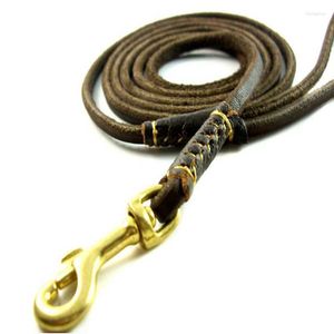 Dog Collars Slip Leashes Lead Real Leather Rope For Small Dogs Puppies Beagle Training Pet Accessory 150cm Long