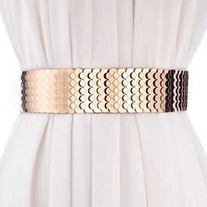 Bälten Kvinnlig själv - Odling Elastisk band Girdle Metal Fish Scale Kvinnor Midja Stängning Bred Belt Dress Dekorativ