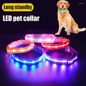 Hundhalsar LED Cat Collar Glowing Night Safety Pet Leads Halsband Lysande ljus dekoration f￶r hundar