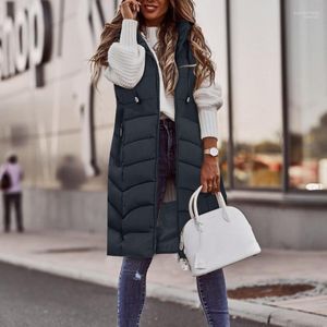 Gilet da uomo Parka da uomo Cappotto invernale extra lungo da donna Tasca con cappuccio Cerniera Giacca a vento femminile Cappotto Capispalla casual Abbigliamento