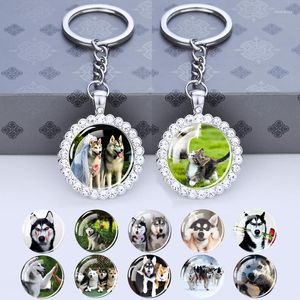 Keychains Siberiano Husky Keychain Glass Cabochon Rhinestone Pingente Chavening Chave de cachorro Chain Key Chain Animal Jewelry Bag Acessórios