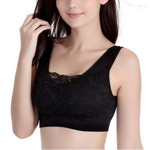 Bustiers Corsets 1pc/3pc 여성 딱딱한 브라 패드와 함께 탑 위로 탑승