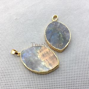 Hänge halsband mode ovala labradorite hängen för DIY som gör guldelektropläterade blad singel borgen charms i 36 25 mm PM4324