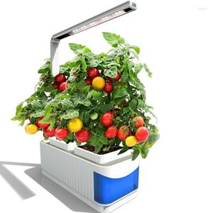 Grow Lights Indoor Garden Kit v￤xtlampa Blomma Vegetabilisk odlingstillv￤xt Ljus