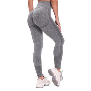 Active Pants Women Gym Yoga Seamless Sports Clothes Stretchy High Waist Athletic Exercise Running Fitness Leggings Activewear