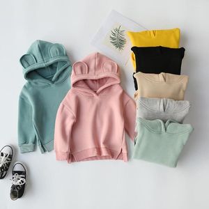 Hoodies fofos meninas garotas garotas meninos suéter de lã de outono com roupas de mola de orelha de urso