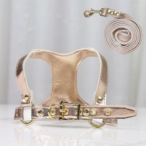 Hundehalsbänder, helles PU-Ledergeschirr und Leine-Set, luxuriöses Designer-Zubehör für kleine Hunde, Welpenhalsband, Chihuahua-Weste