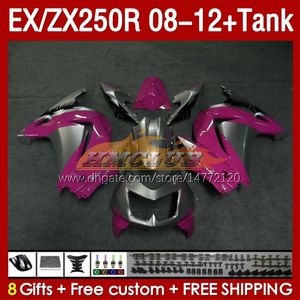 Einspritzungstank für KAWASAKI NINJA EX250R ZX250R 2008 2009 2010 2011 2012 ZX250 EX250 R 163Nr. 87 ZX-250R 08-12 EX ZX 250R 08 09 10 11 12 OEM-Verkleidung silberfarben