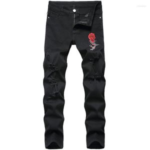 Men's Jeans Europe And America Fashion Soft Men's Brand Broken Hole Pants Thin Torn Embroidered Cotton Straight Streetwear