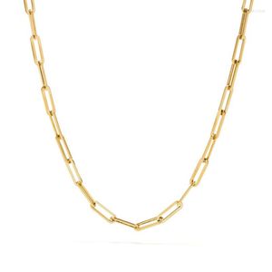 Ketten 2022 Edelstahl Link Halskette für Frauen und Männer Modeschmuck Büroklammer erhältlich in Goldfarbe Geschenk