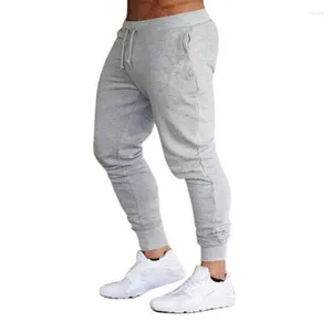 Pantaloni da uomo Autunno Uomo Hip Hop Harem Joggers 2022 Pantaloni maschili Pantaloni sportivi multitasche solidi da uomo M-3XL