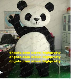 Svart vit katbear panda björn ailuropus bearcat vuxen maskot kostym maskotte med svarta stora ögon öron plysch nr 173 gratis fartyg