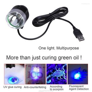 Grow Lights UV Tutkal LED Kürleme Lambası Alüminyum Alaşım USB Devre Kartı için Ultraviyole İNTRAVIOT