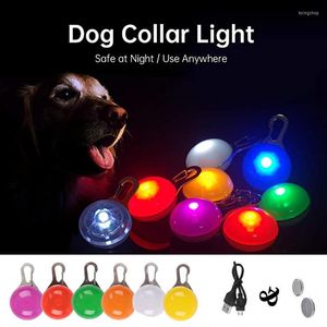 Hundhalsar LED -krage hänge laddningsbart husdjur usb lysande blixtljus koppel tillbehör dekoration halsband