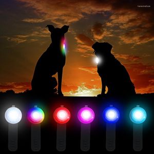 Hundhalsar LED -krage hänge laddningsbart husdjur usb lysande blixtljus koppel tillbehör säkerhet halsband