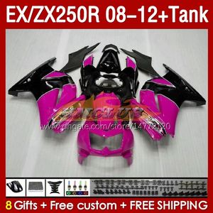 Tank-Einspritzverkleidungen für KAWASAKI NINJA ZX250 EX250 R 2008–2012 163Nr