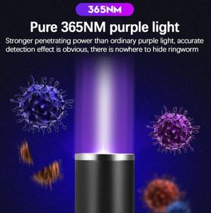 مصباح يدوي ليزر أحمر متعدد الوظائف USB قابل للشحن 3 في 1 مصباح يدوي الأشعة فوق البنفسجية Light Blacklight Torch Torch Laser Pen Lamp