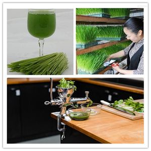 Juicers Manual Stainless Steel Wheatgrass Juicer Hand Wheat Grass