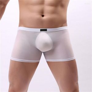 Underpants Perspective Men Mesh Underwear Boxer Transparent U Pouch Sexy Male Panties Shorts Erotic Gay Lingerie