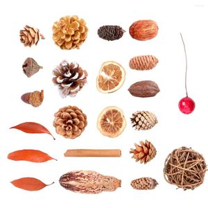 クリスマスの装飾1セットPinecone DIY Material Pine Pine Pine Cone for Home Dorm Store