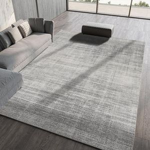 Carpets Ins Simple Living Room Large Area Rug Home Decoration Bedroom Decor Waterproof And Stain-resistant Bath Mat Fluffy Soft Carpet