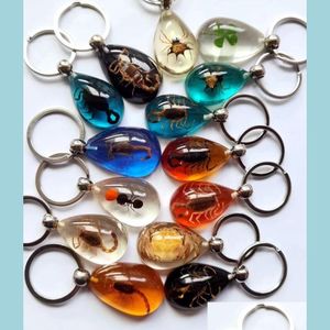 Key Rings 15 Pcs Real Scorpion Spider Crab Ant Four Leaf Clover Drop Shaped Amber Resin Keychain Taxidermy Oddity Insect Encased Del Dhx0E