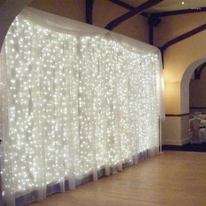 Strängar 300 LED -pärlor Fairy String Lights 3x3m 220V EU Plug Icicle Curtain Garland Ljus utomhus trädgård bröllop semester fest heminredning